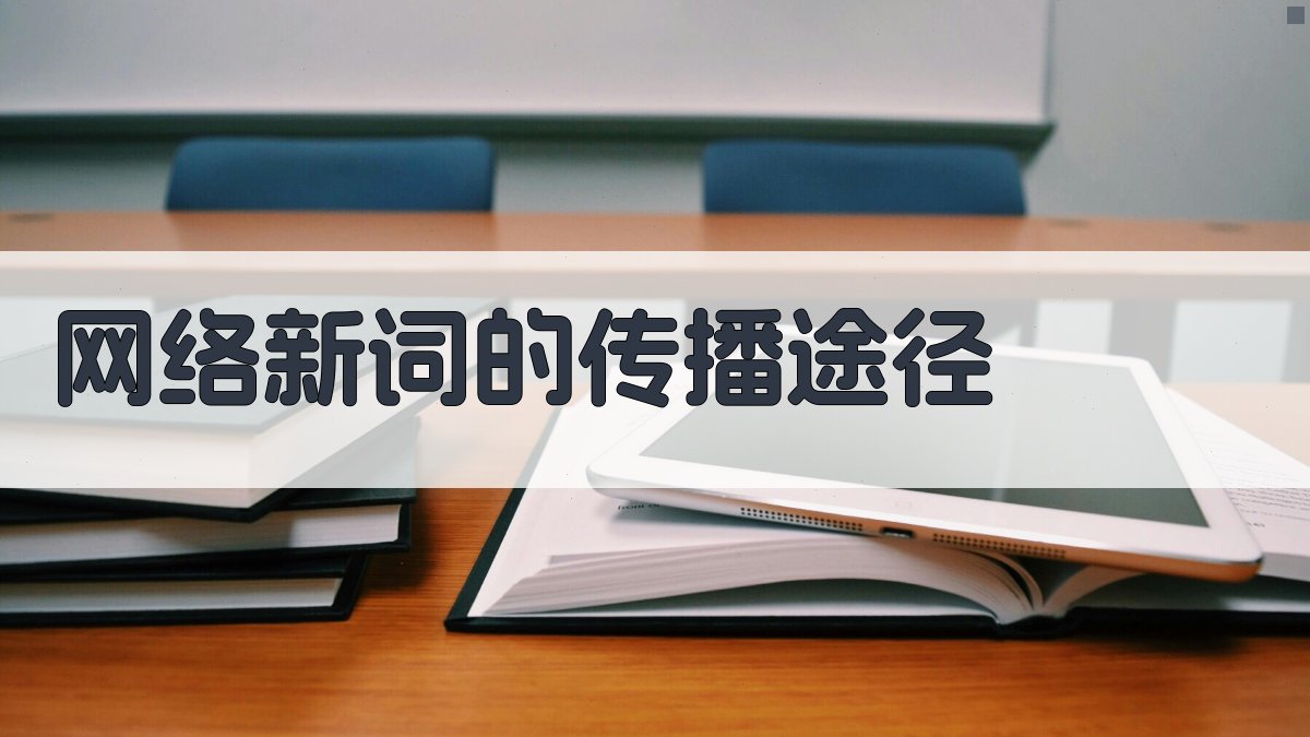 网络新词的传播途径 图2