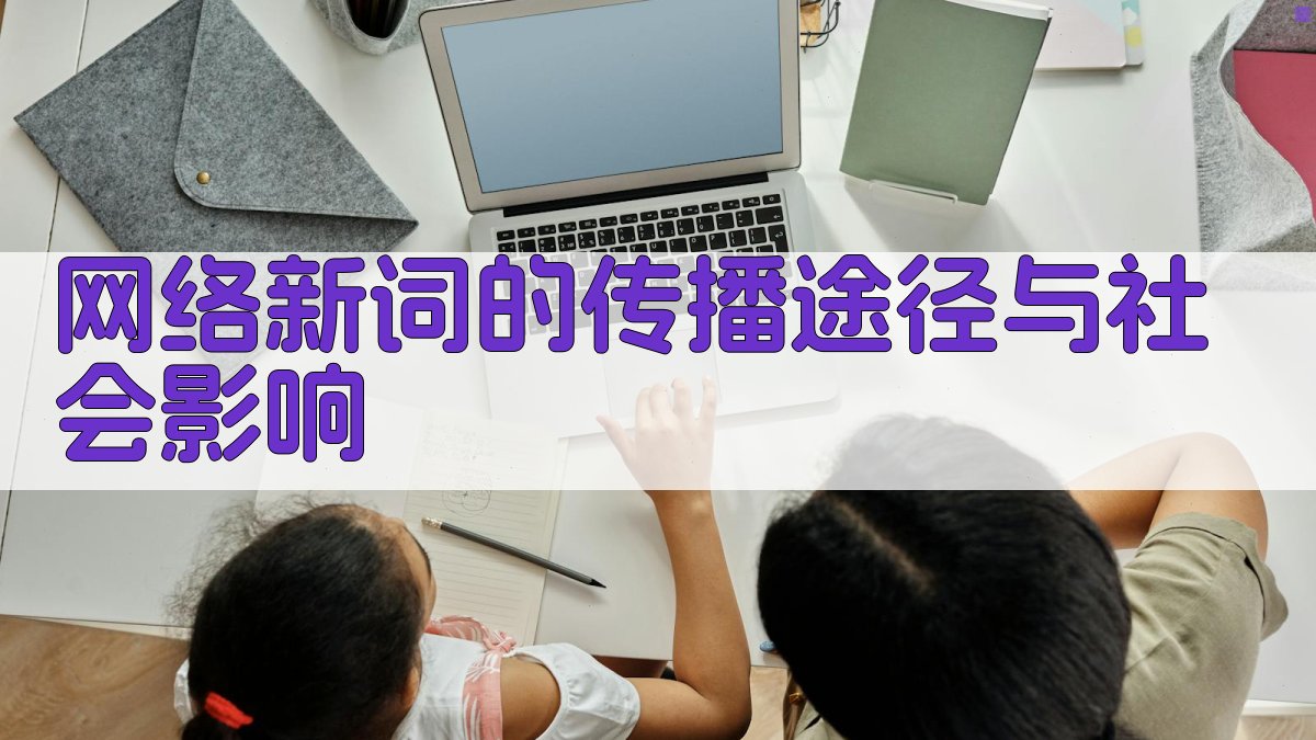 网络新词的传播途径与社会影响 图2