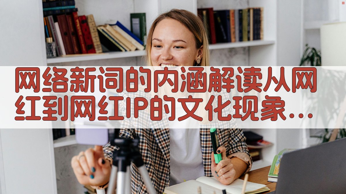 网络新词的内涵解读从“网红”到“网红IP”的文化现象 · 附录 图2