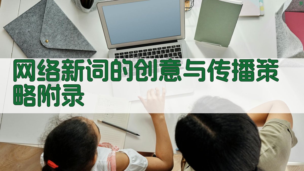 网络新词的创意与传播策略 · 附录 图2