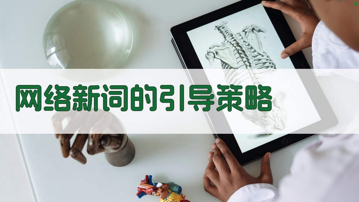 网络新词的引导策略 图4