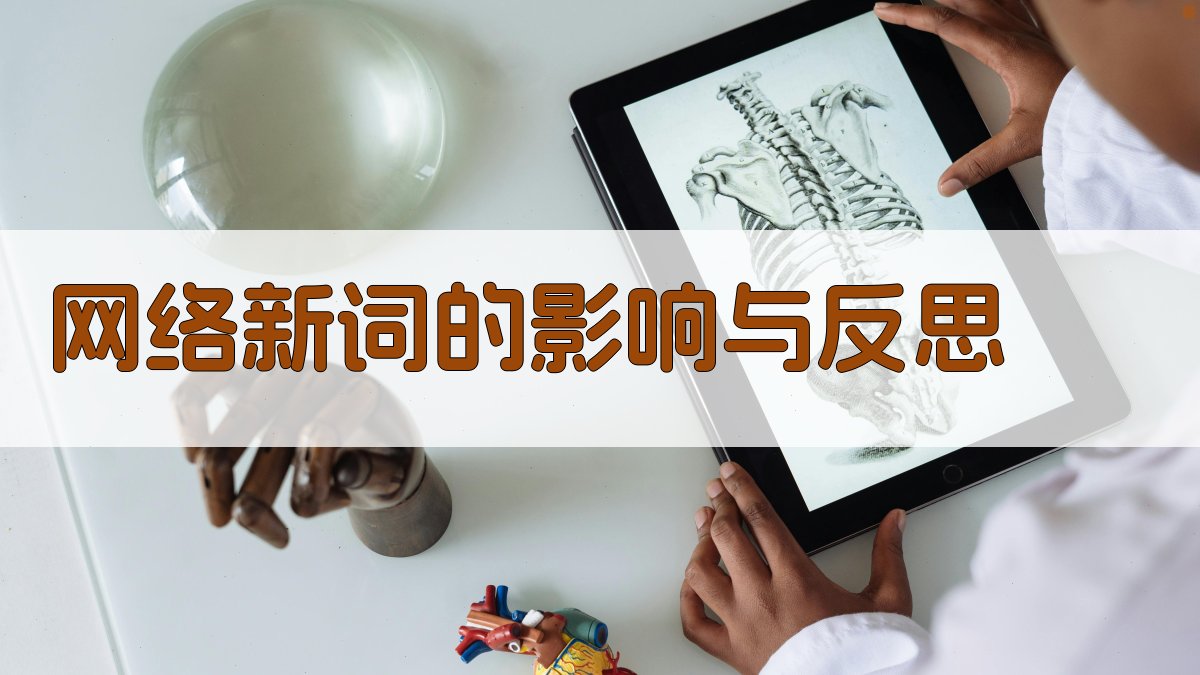 网络新词的影响与反思 图3