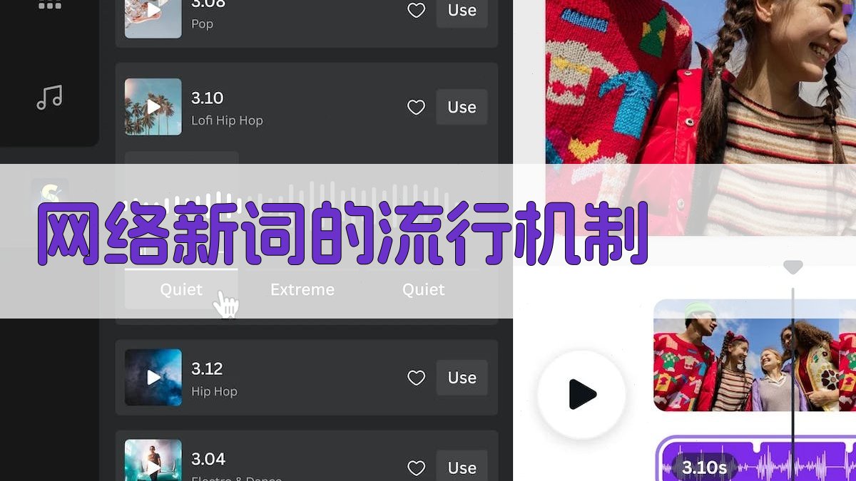 网络新词的流行机制 图1