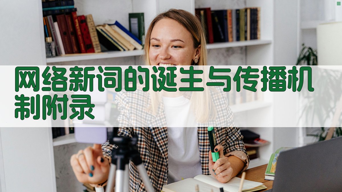 网络新词的诞生与传播机制 · 附录 图4