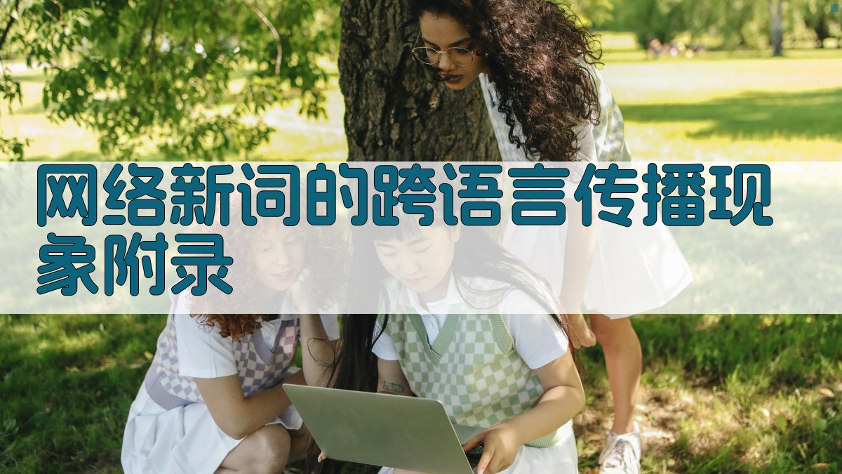 网络新词的跨语言传播现象 · 附录 图2