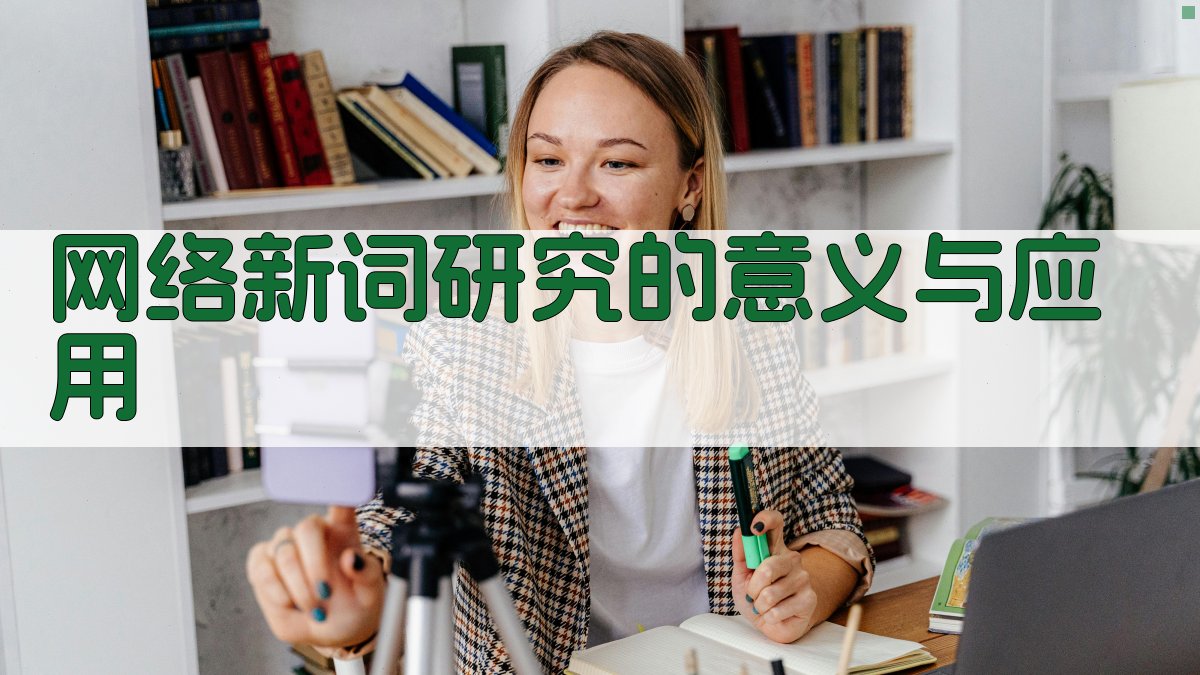 网络新词研究的意义与应用 图3