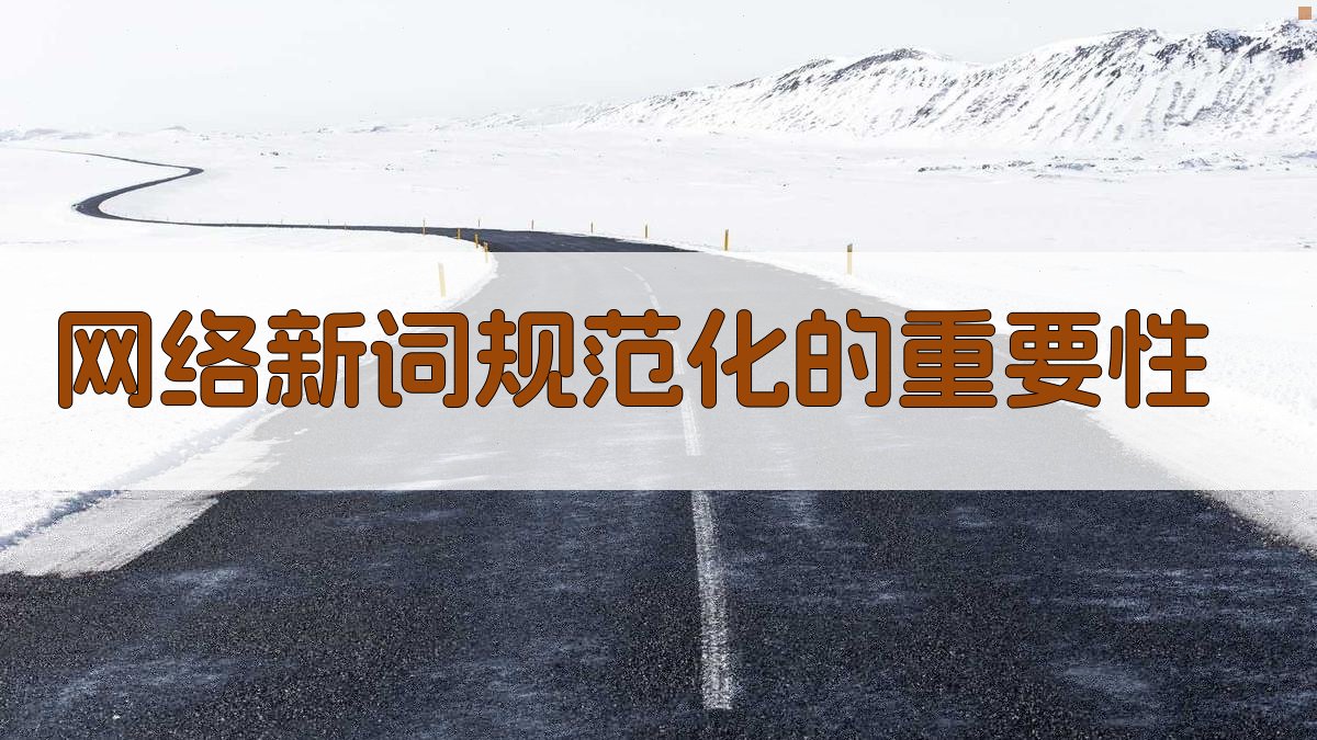 网络新词规范化的重要性 图2