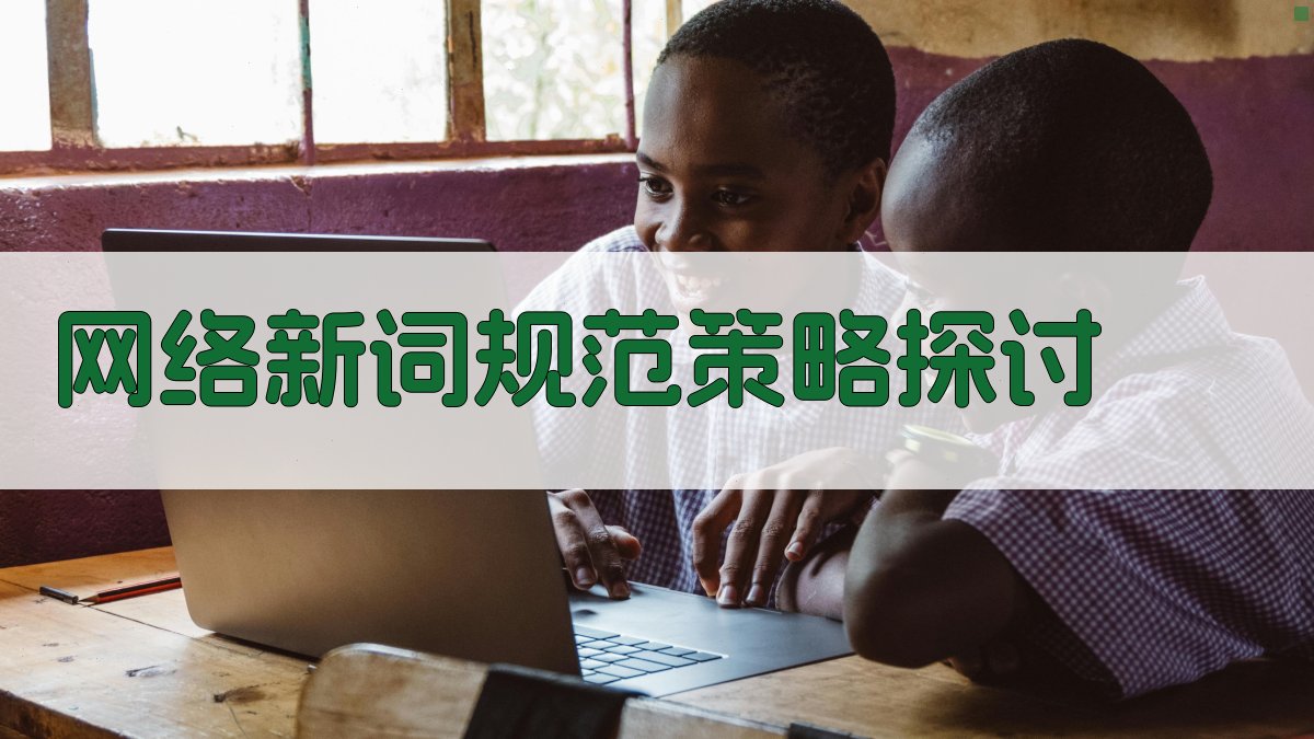 网络新词规范策略探讨 图4