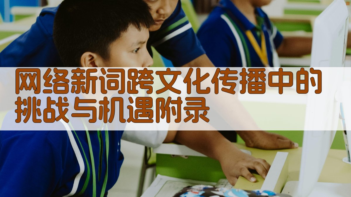 网络新词跨文化传播中的挑战与机遇 · 附录 图2