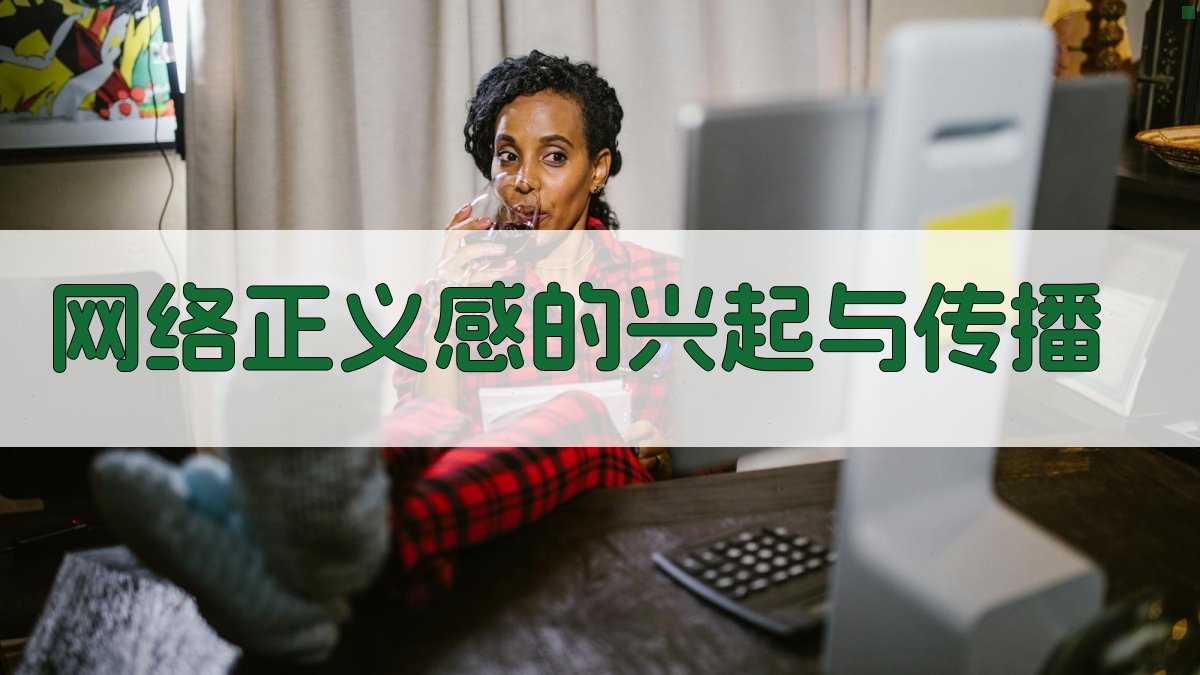 网络正义感的兴起与传播 图2