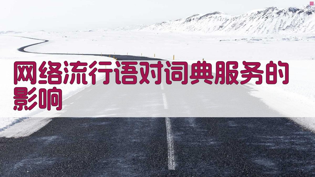 网络流行语对词典服务的影响 图2