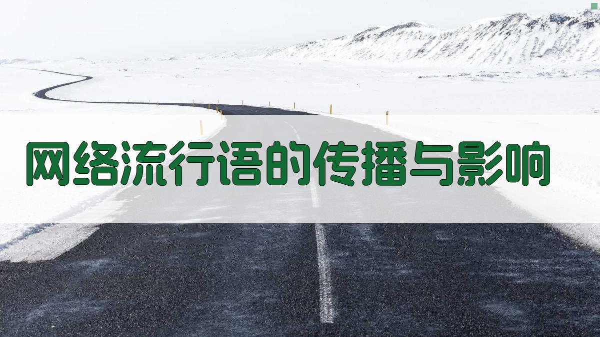 网络流行语的传播与影响 图3