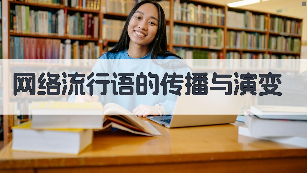 网络流行语的传播与演变 图1