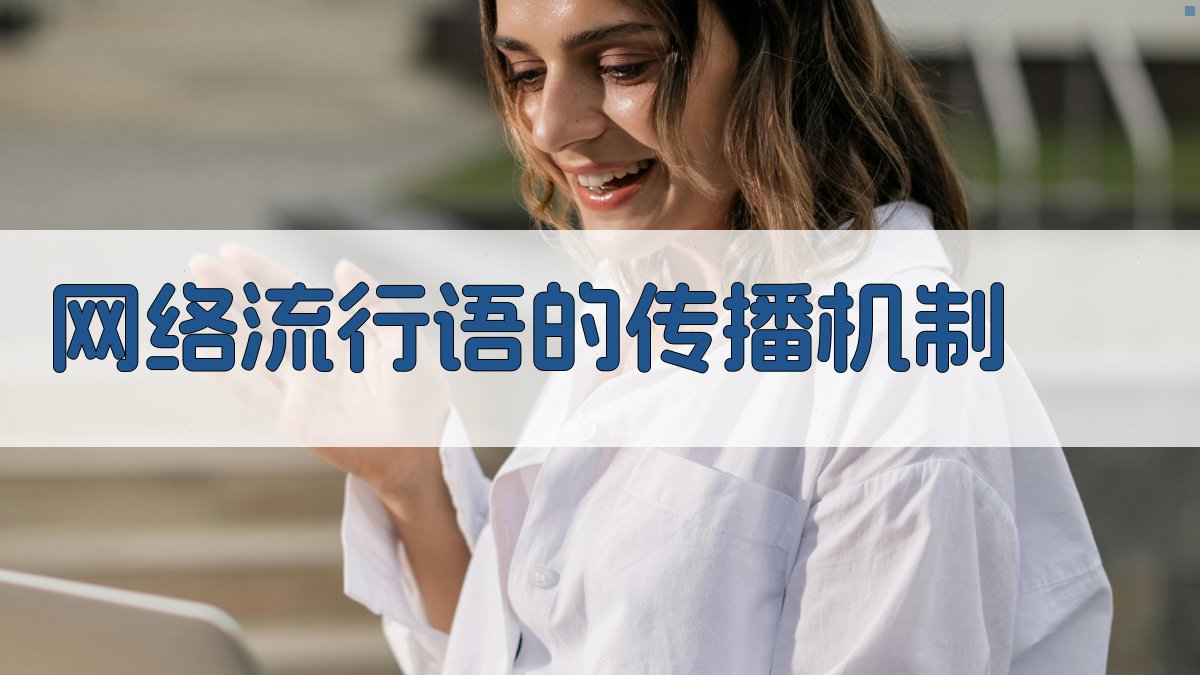 网络流行语的传播机制 图1