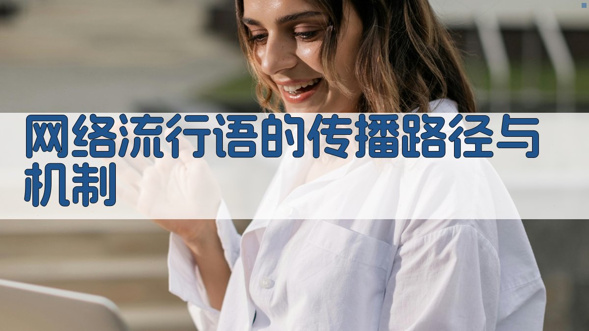 网络流行语的传播路径与机制 图2