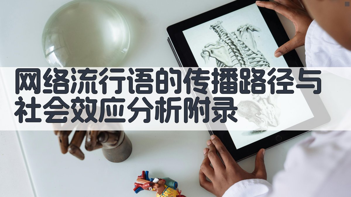 网络流行语的传播路径与社会效应分析 · 附录 图5