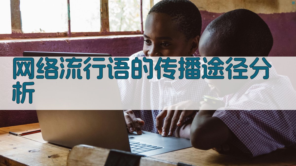 网络流行语的传播途径分析 图2