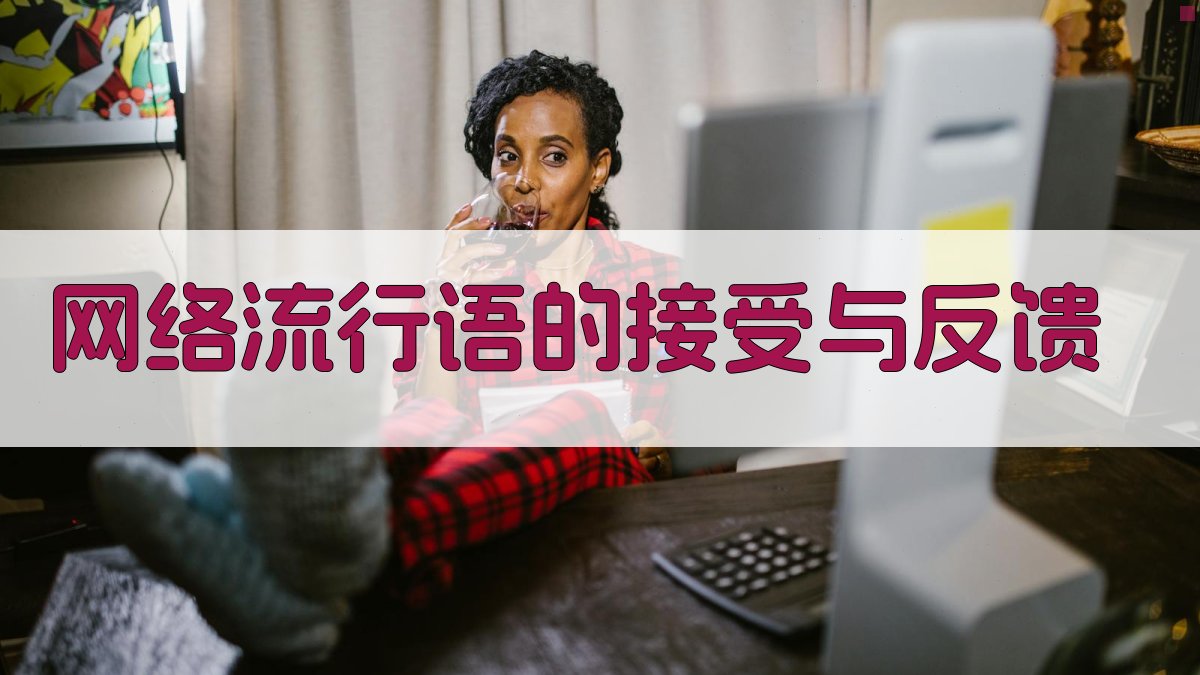 网络流行语的接受与反馈 图1