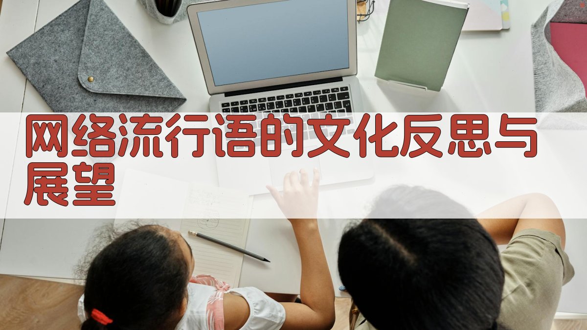 网络流行语的文化反思与展望 图2