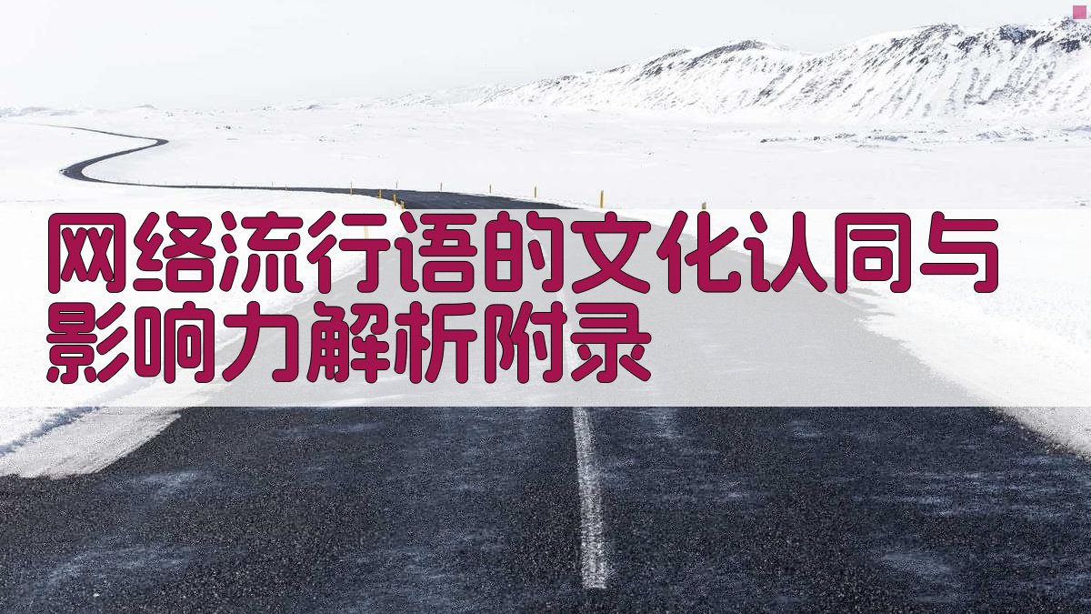网络流行语的文化认同与影响力解析 · 附录 图3