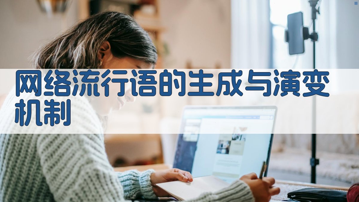 网络流行语的生成与演变机制 图3