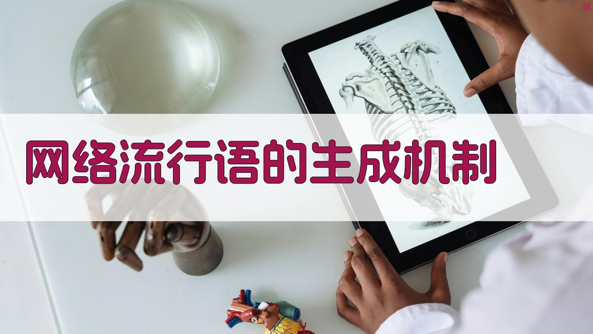 网络流行语与网络文化互动机制研究