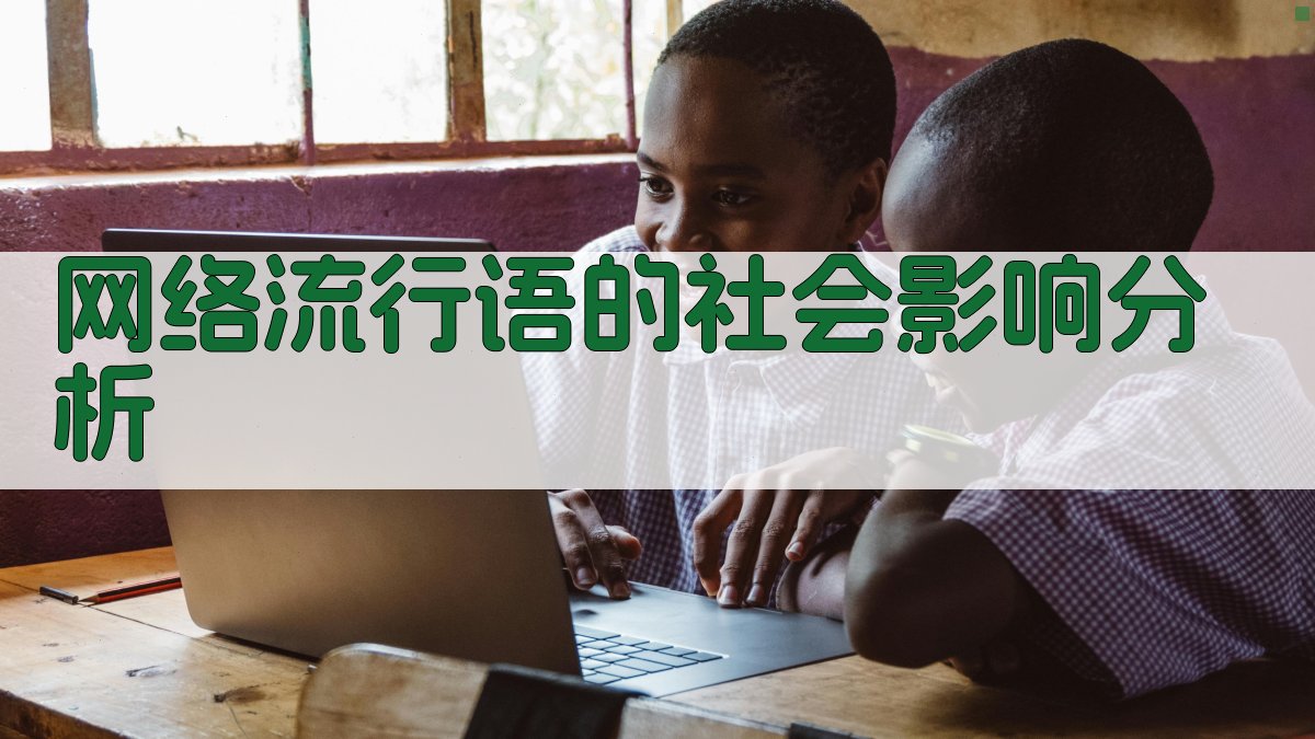 网络流行语的社会影响分析 图3