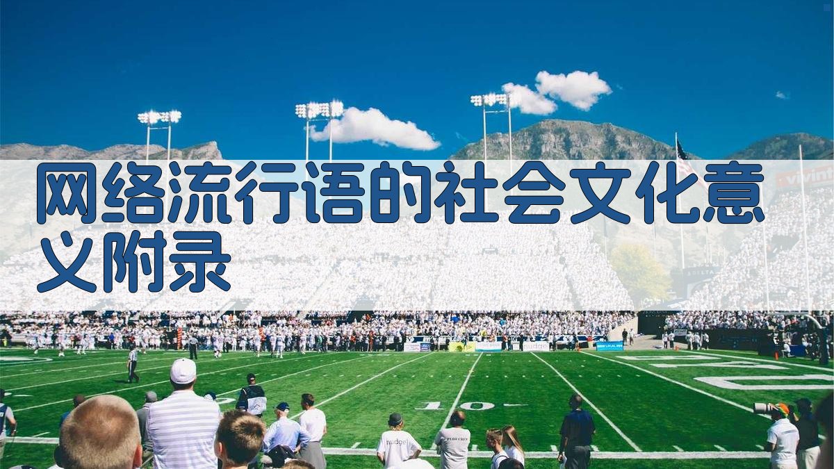 网络流行语的社会文化意义 · 附录 图4