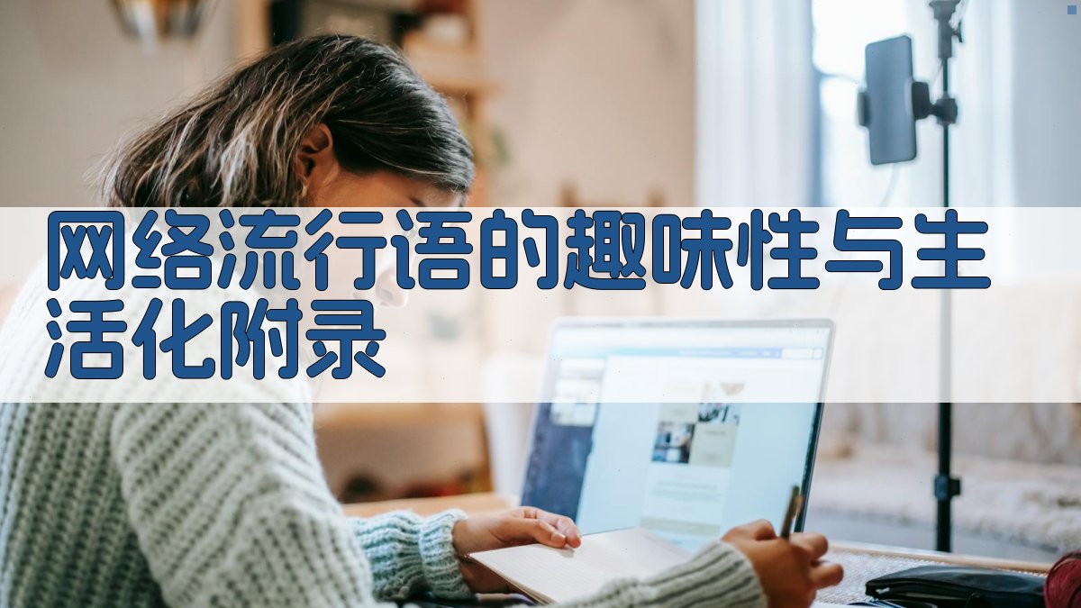 网络流行语的趣味性与生活化 · 附录 图4