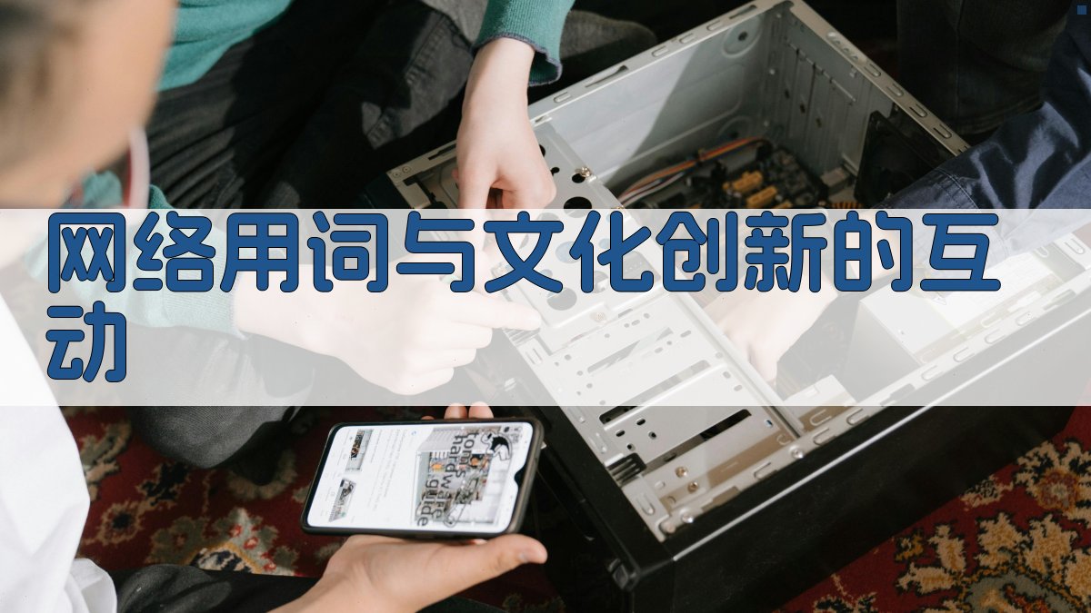 网络用词与文化创新的互动 图2