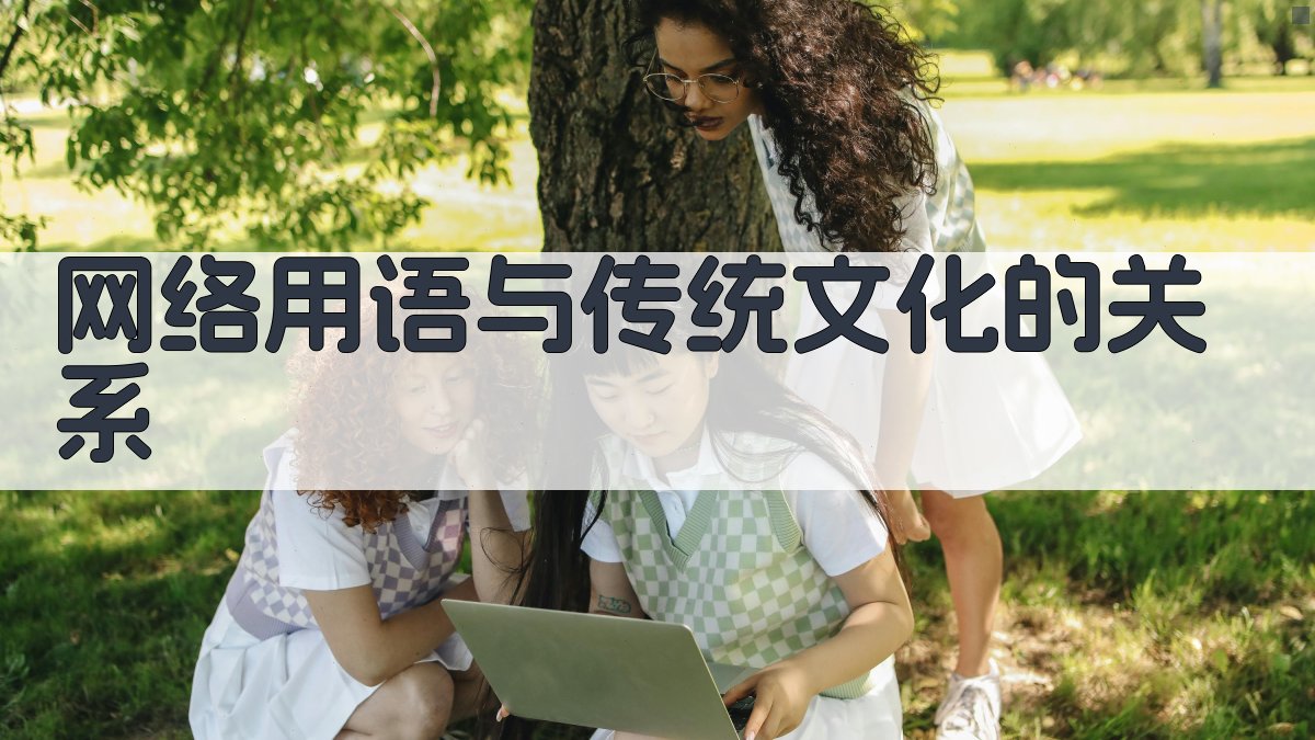 网络用语与传统文化的关系 图4