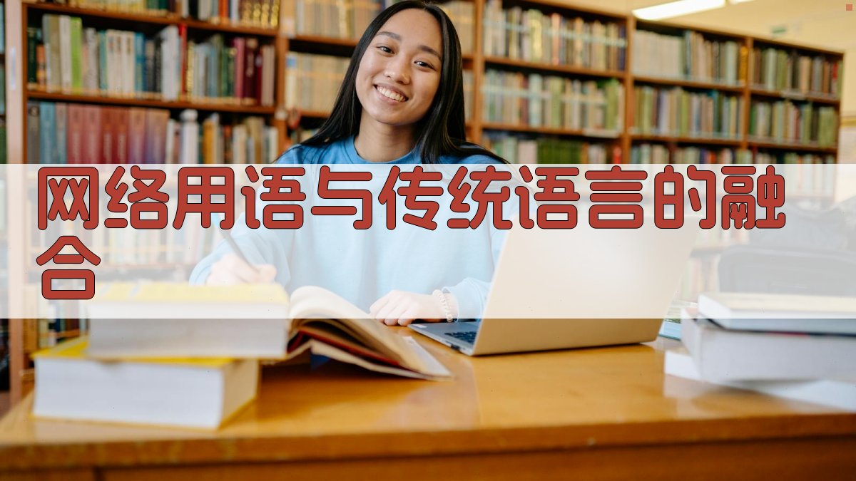 网络用语与传统语言的融合 图3