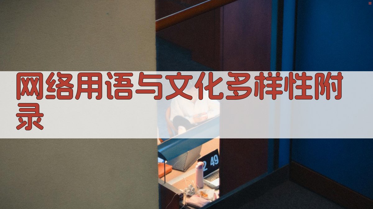 网络用语与文化多样性 · 附录 图5