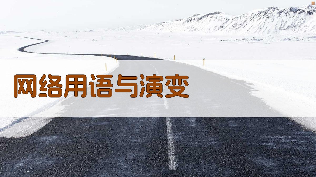 网络用语与演变 图4