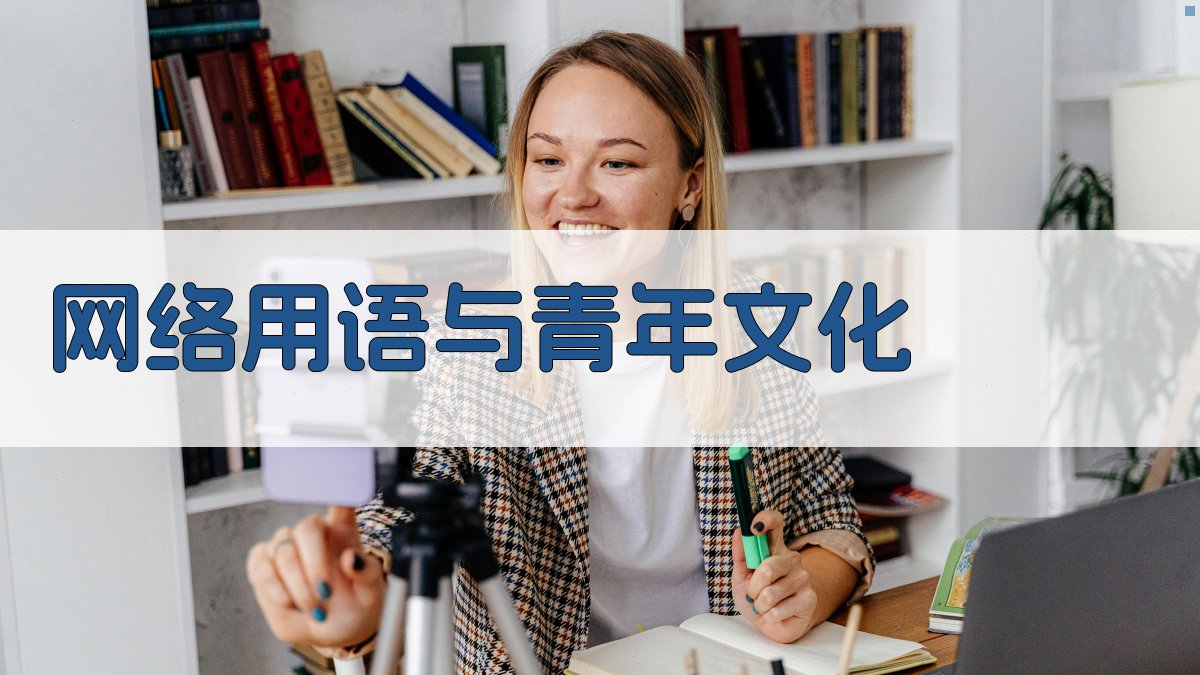 网络用语与青年文化 图3