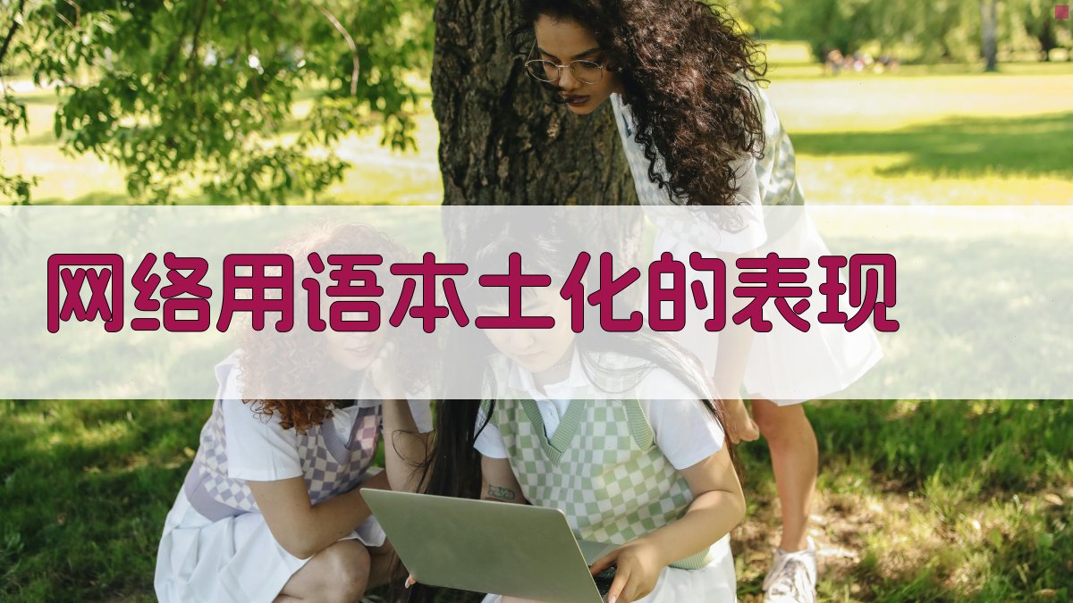 网络用语本土化的表现 图2