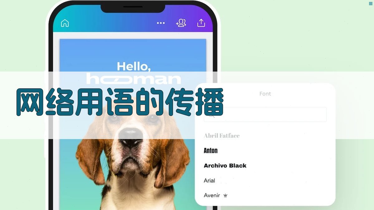 网络用语的传播 图2