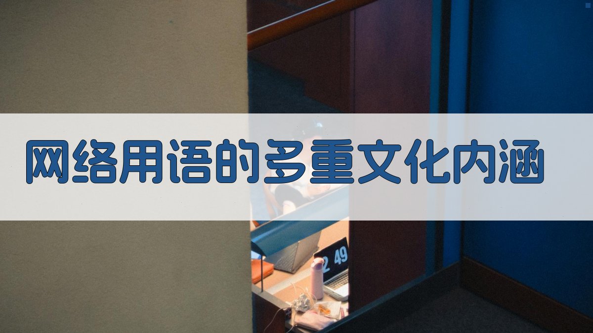 网络用语的多重文化内涵 图2