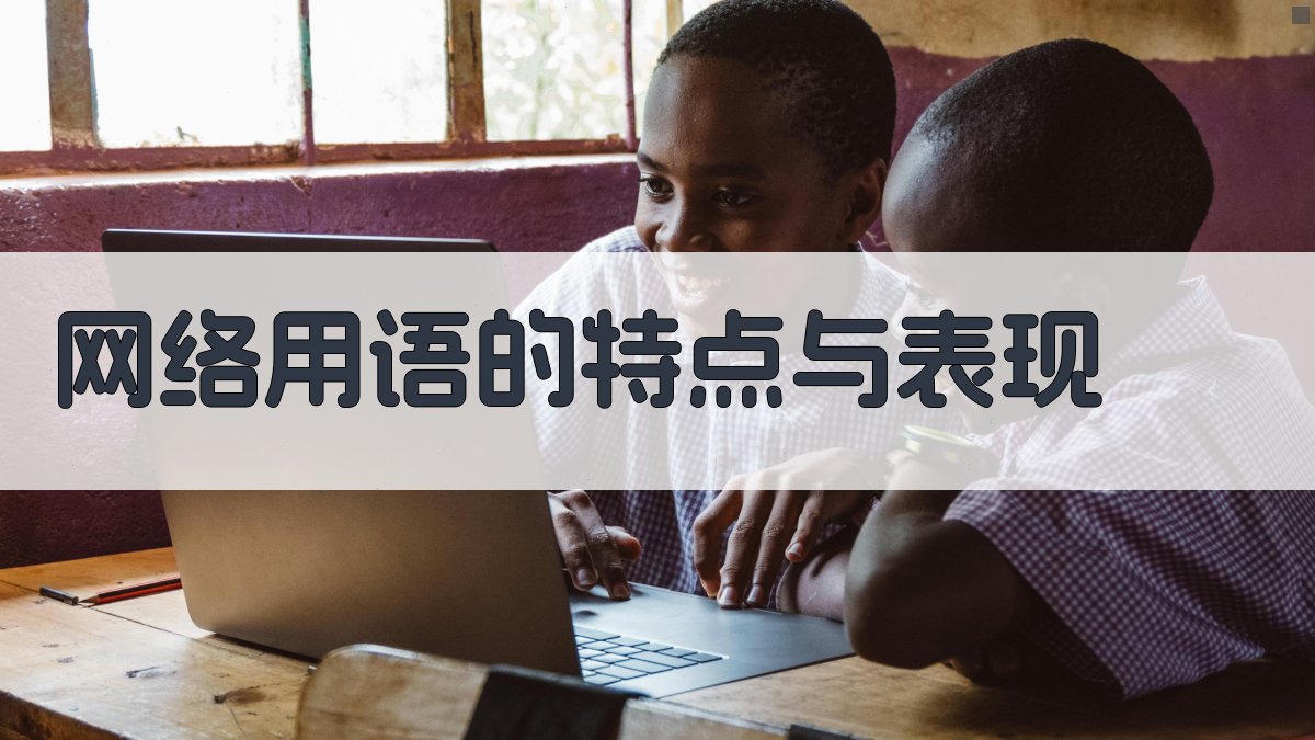 网络用语的特点与表现 图2