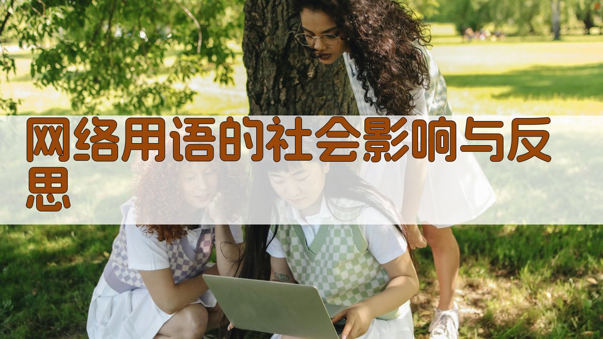 网络用语的社会影响与反思 图4