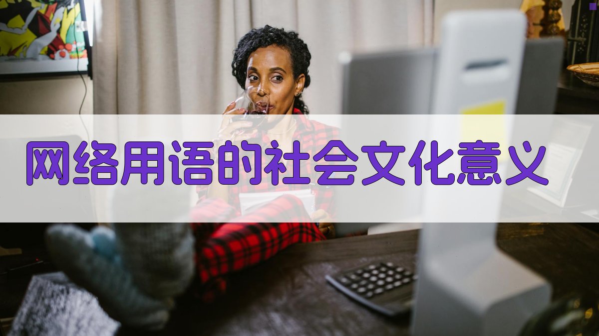 网络用语的社会文化意义 图4