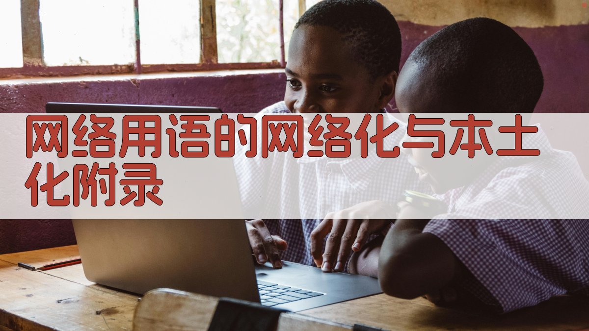 网络用语的网络化与本土化 · 附录 图5