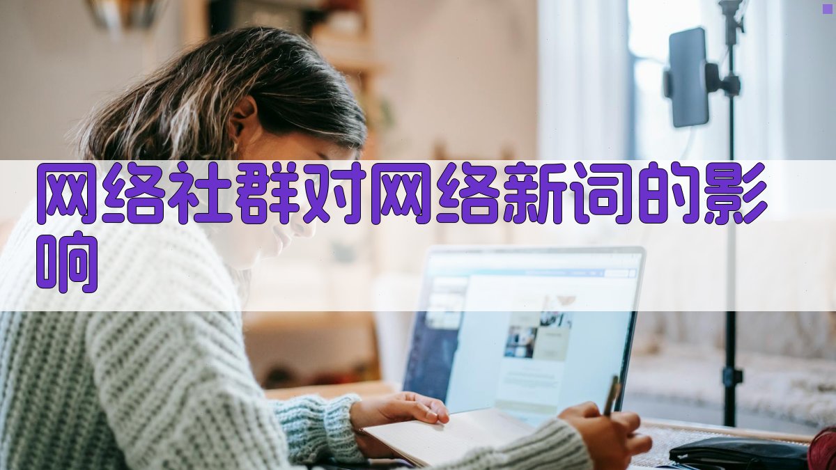 网络社群对网络新词的影响 图1