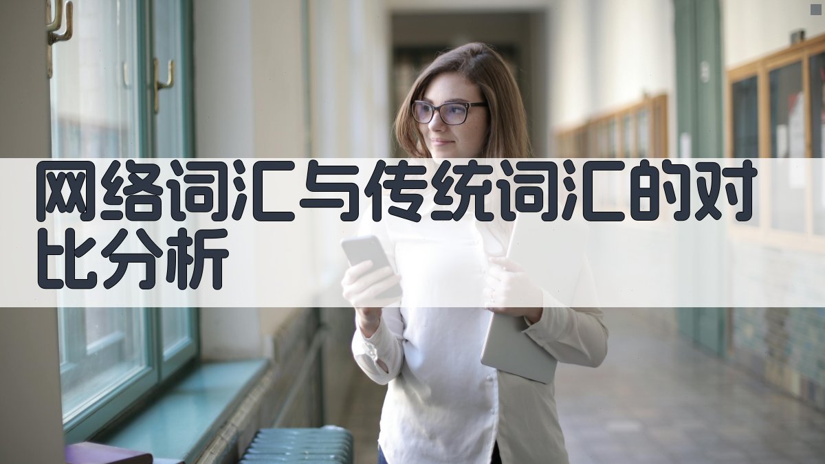 网络词汇与传统词汇的对比分析 图2