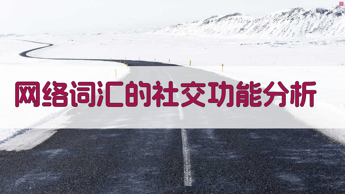 网络词汇的社交功能分析 图2
