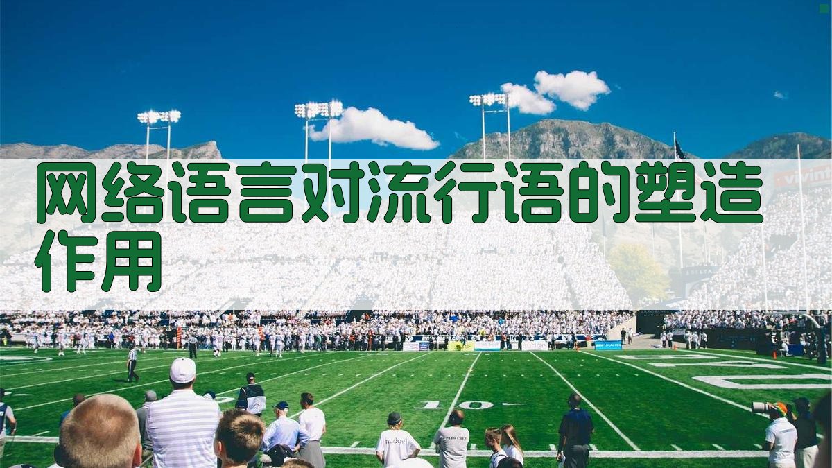 网络语言对流行语的塑造作用 图3