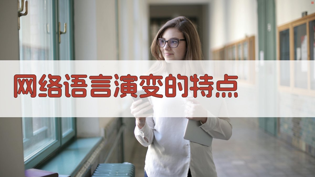 网络语言演变的特点 图2