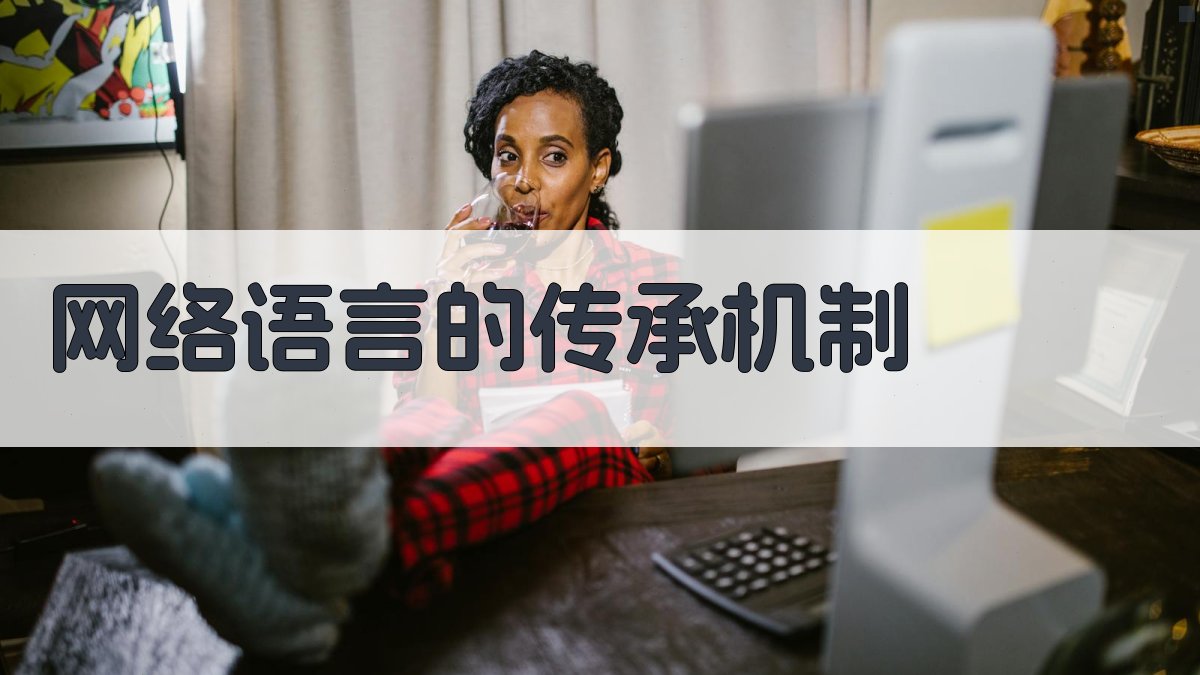 网络语言的传承机制 图3