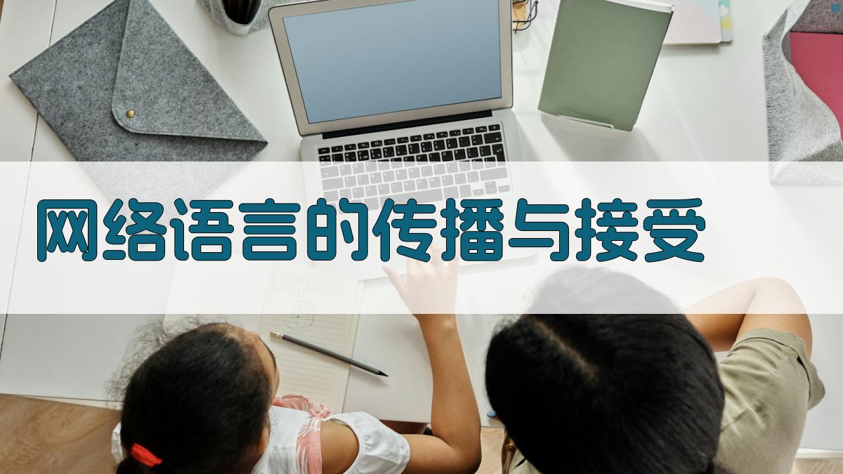 网络语言的传播与接受 图2