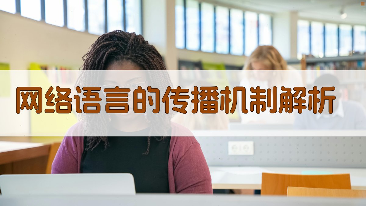 网络语言的传播机制解析 图4